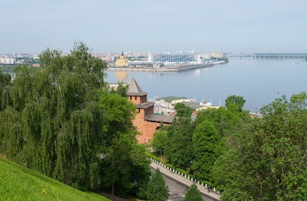 В центре Нижнего Новгорода вырубят 1,5 тысячи деревьев