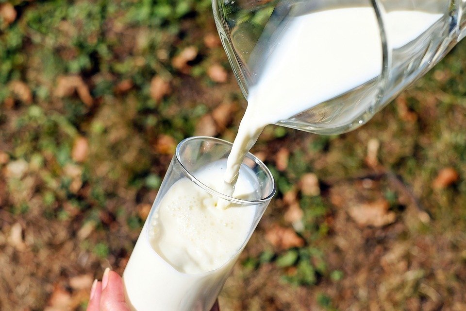 Антибиотики и растительный жир: кто из производителей молока обманывает россиян - фото 2
