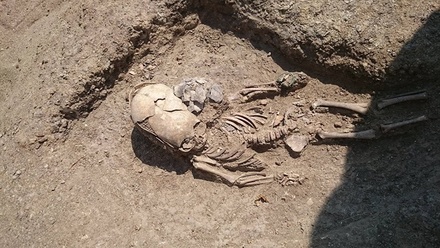 Скелет младенца с вытянутым черепом обнаружили археологи в Крыму (ФОТО)