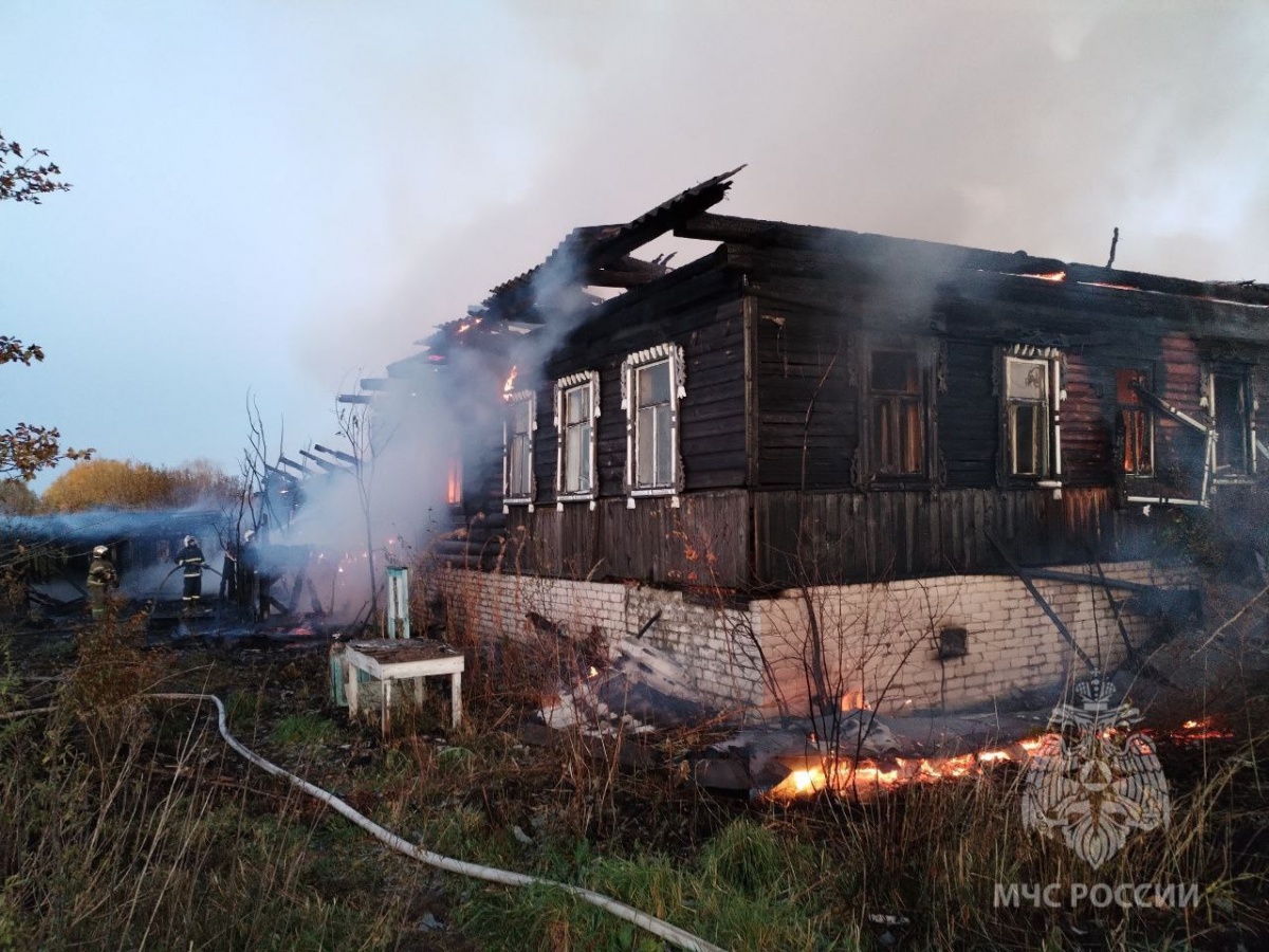 Мужчина погиб при пожаре в Нижегородской области - фото 1