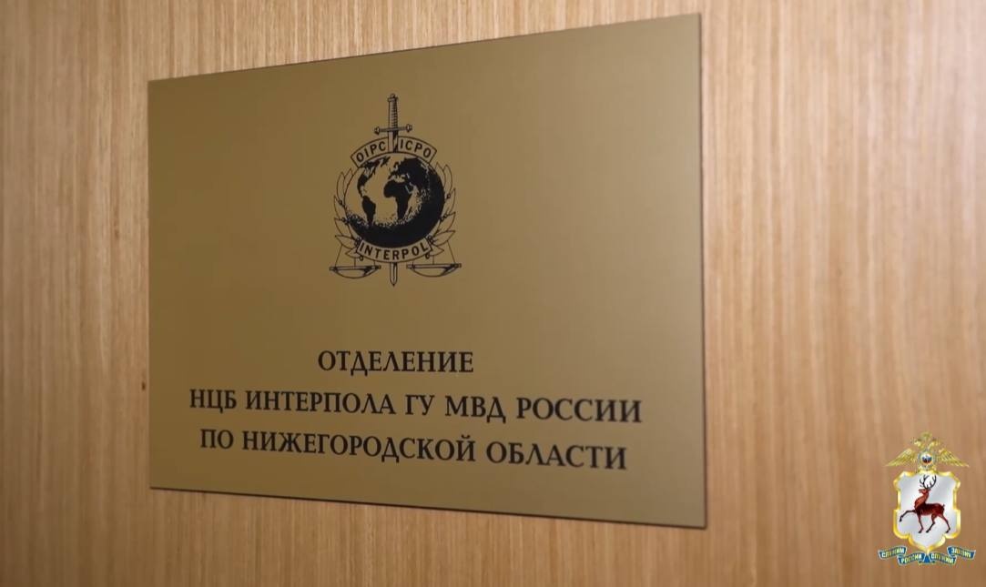 Нижегородский Интерпол нашел восьмерых человек из международного розыска - фото 1