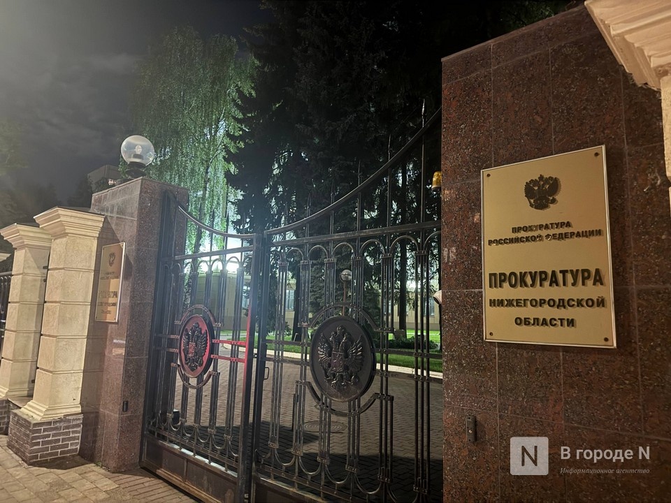Травмирование ребенка в Нижегородской области заинтересовало прокуратуру - фото 1