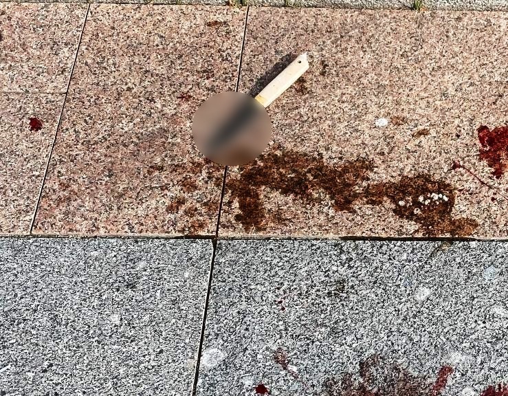 Дело завели на дочь, ударившую ножом свою мать в Нижегородском кремле - фото 1
