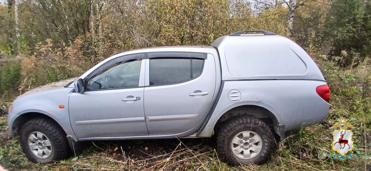 Браконьера осудят за убийство трех лосей в Нижегородской области - фото 1