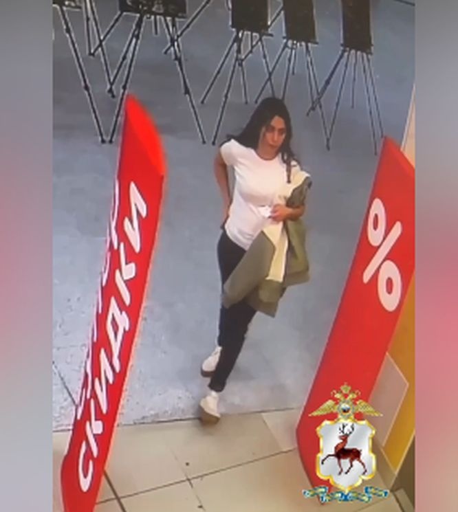 Нижегородская полиция разыскивает подозреваемую в краже девушку - фото 1