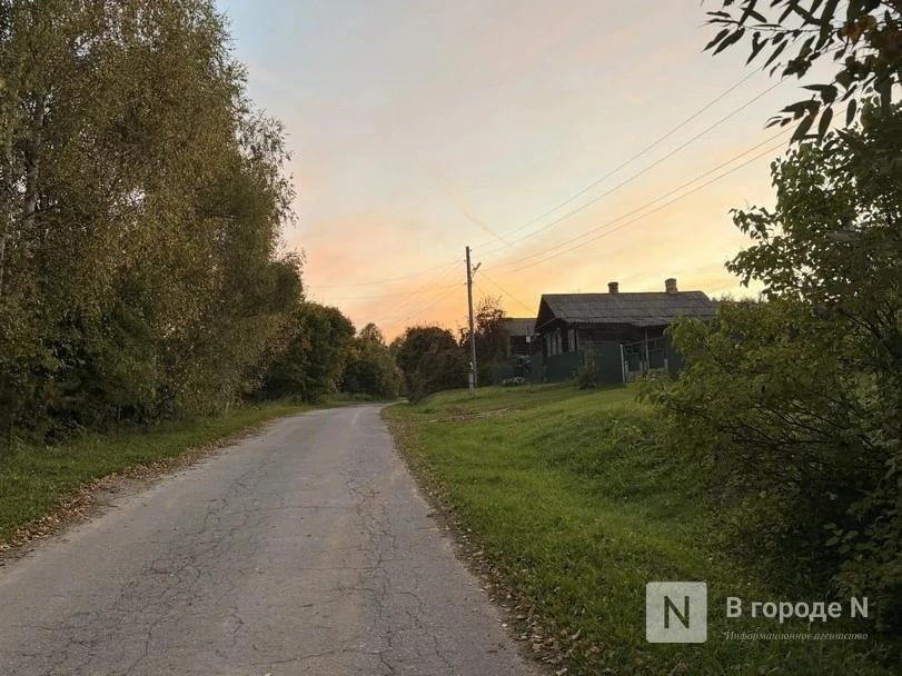 Медведь растерзал пса около частного дома в Нижегородской области - фото 1