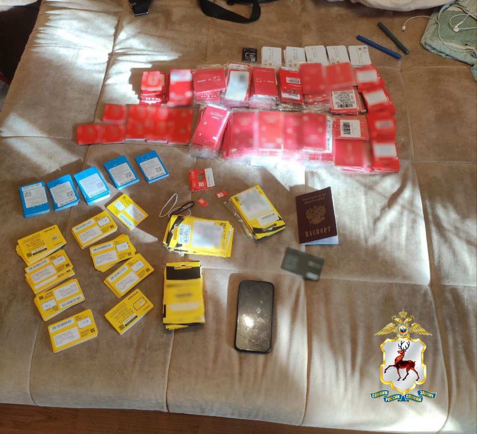 Силовики поймали 19-летнего пособника мошенников с сим-боксами в Нижнем Новгороде - фото 1