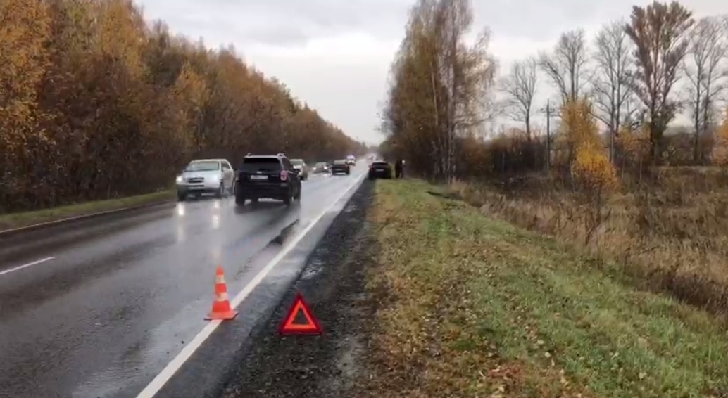 Младенец пострадал в ДТП на трассе в Нижегородской области - фото 1