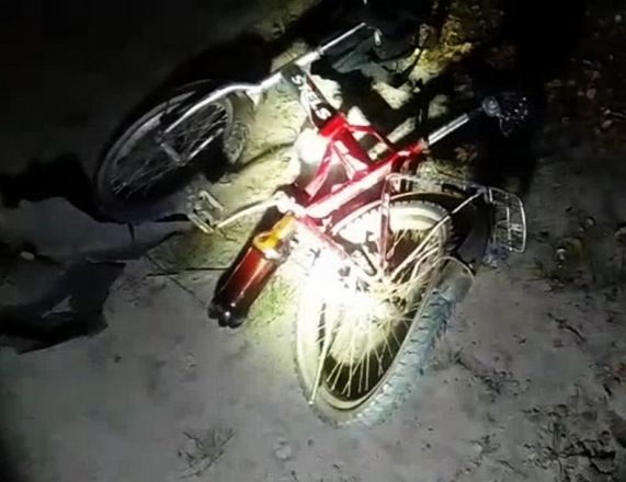 Водитель Chevrolet сбил насмерть пешехода с велосипедом в Ардатовском районе - фото 2