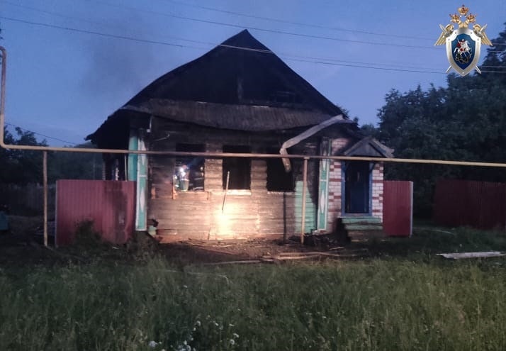Мужчина погиб на пожаре в Лысковском районе - фото 1