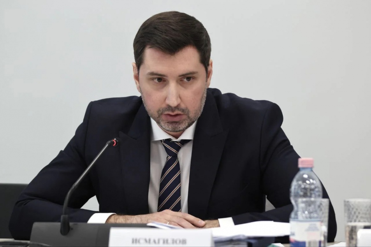 Депутаты согласовали назначение Исмагилова зампредом нижегородского правительства - фото 1