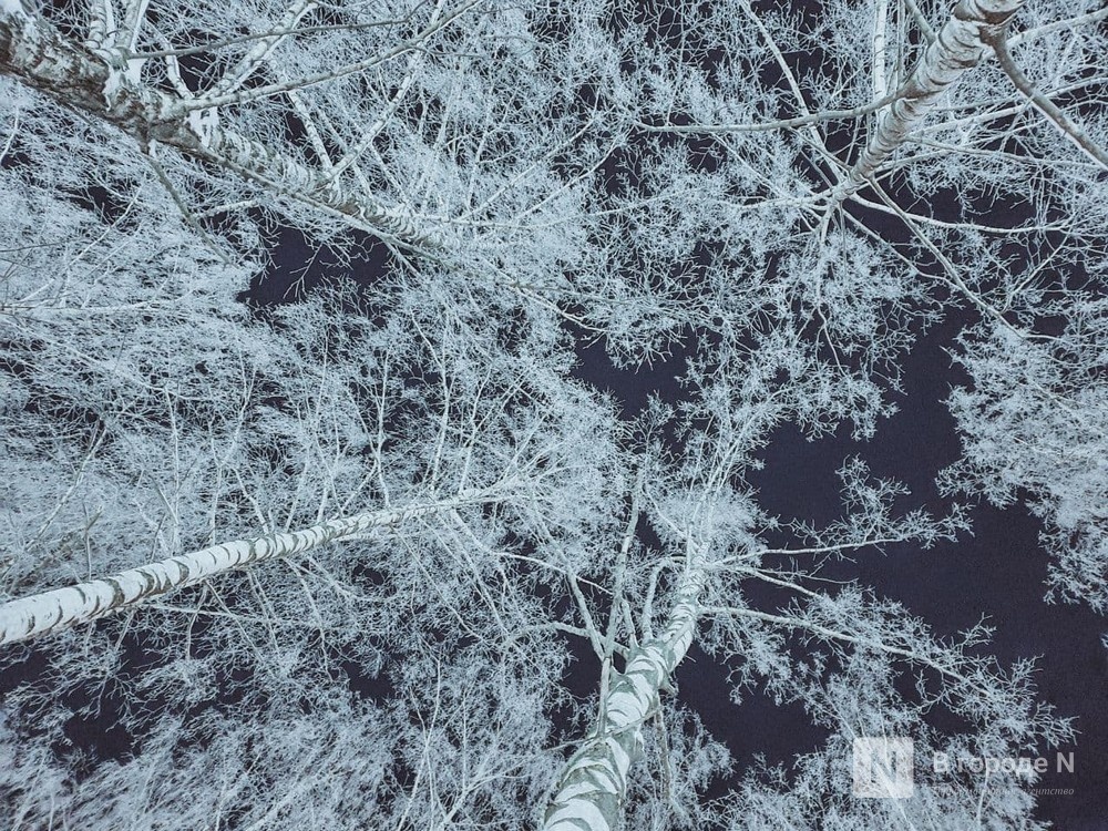 Стало известно, как нижегородцы реагируют на погодные аномалии - фото 1
