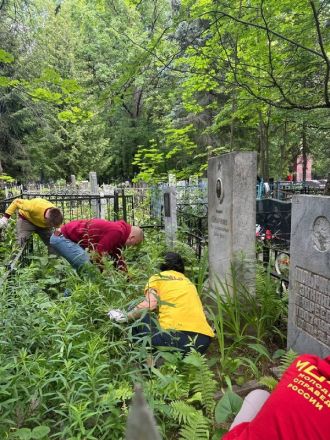 Нижегородский депутат Гриневич приняла участие в субботнике на кладбище  - фото 4