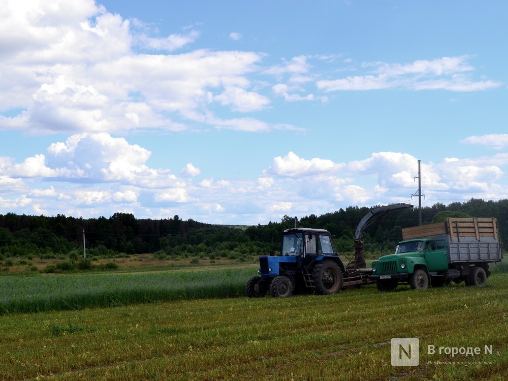 Рекордное количество зерна произвела Нижегородская область в 2022 году