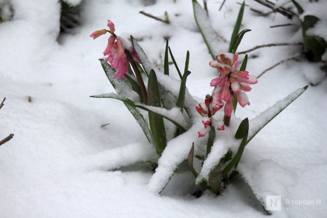 Апрельский апокалипсис в Нижнем Новгороде: фоторепортаж с улиц, заваленных снегом - фото 9
