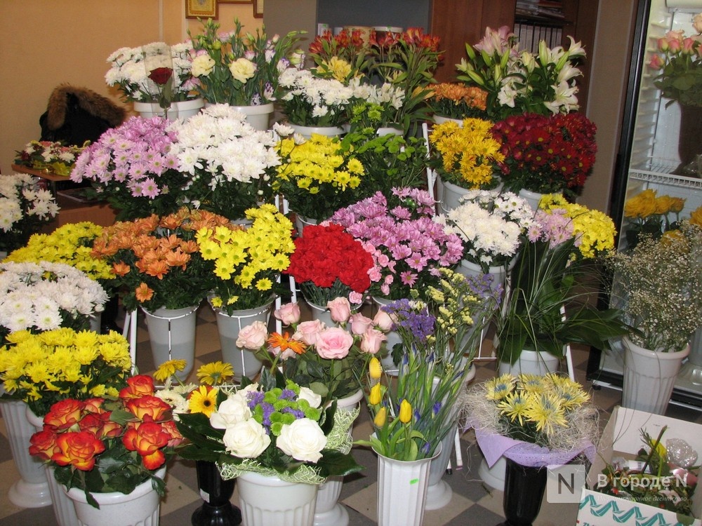 Нижегородским цветочным и садовым магазинам разрешили работать во время самоизоляции - фото 1