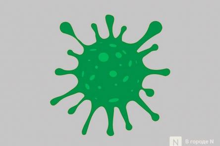Роспотребнадзор опроверг слухи о новом вирусе в Нижегородской области