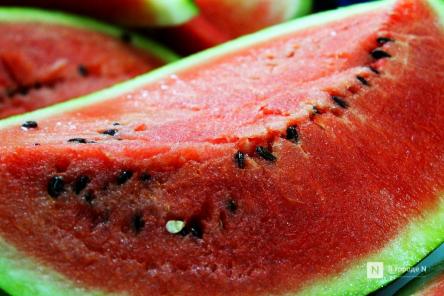 Как правильно выбрать арбуз, разъяснили нижегородцам