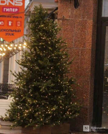 Матрешки, кони и сотни огней: карта самых атмосферных новогодних локаций &mdash; 2026 в Нижнем Новгороде - фото 132