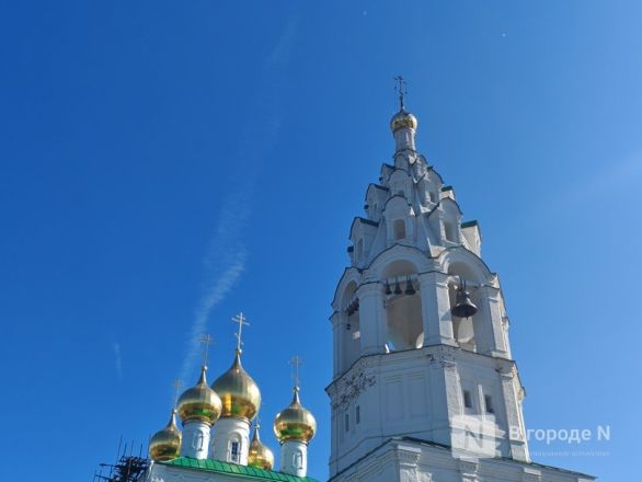 Город кузнецов и автобусов: что посмотреть в Павлове за день &mdash; фоторепортаж - фото 52