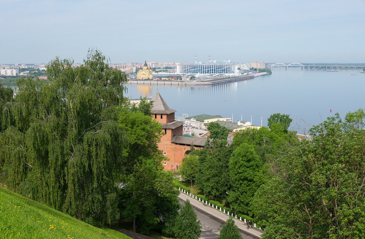 Нижегородский ру. Большое дерево в центре Нижнего Новгорода.