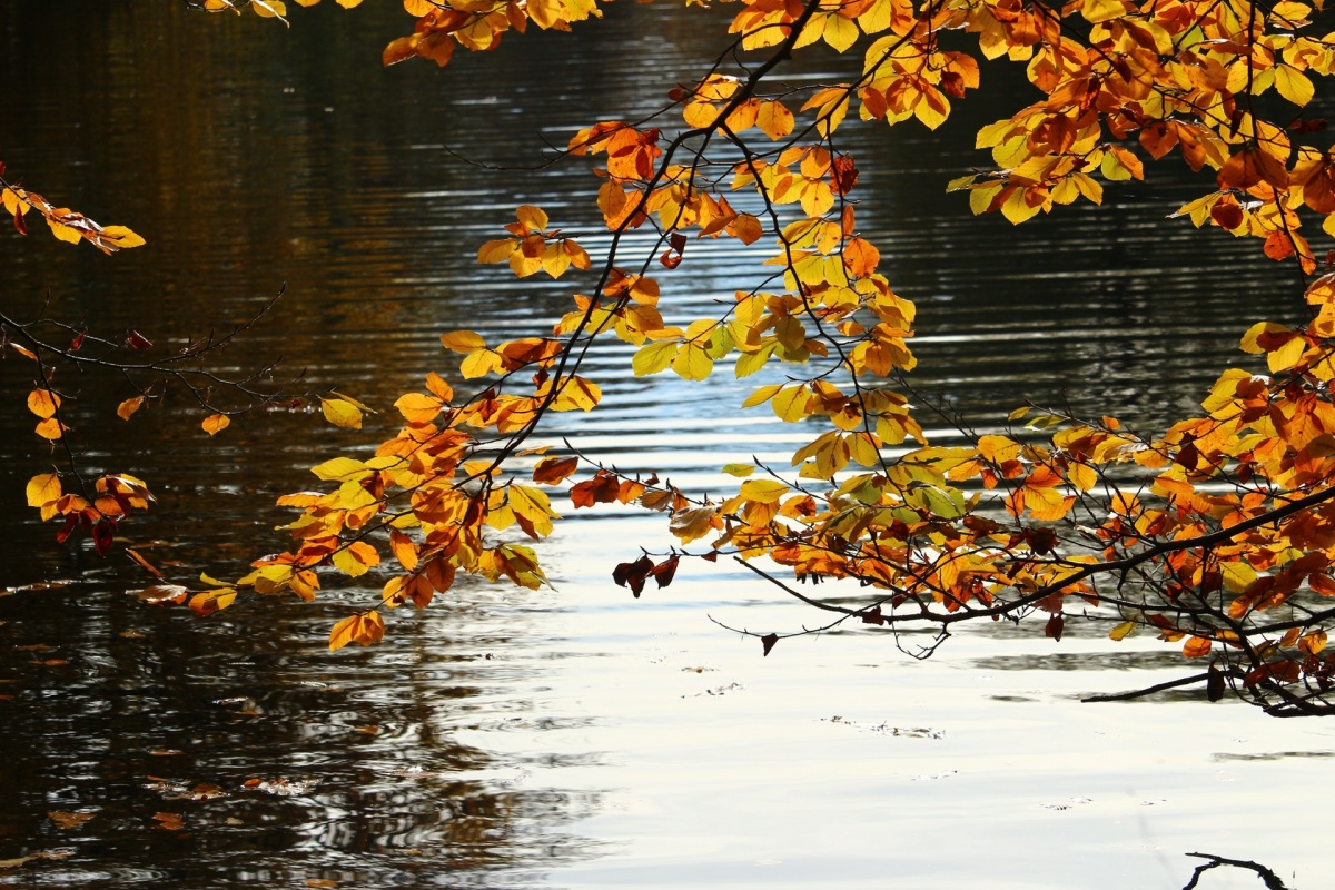 Нижегородские реки и озера попали в топ-10 направлений для отдыха в сентябре - фото 1