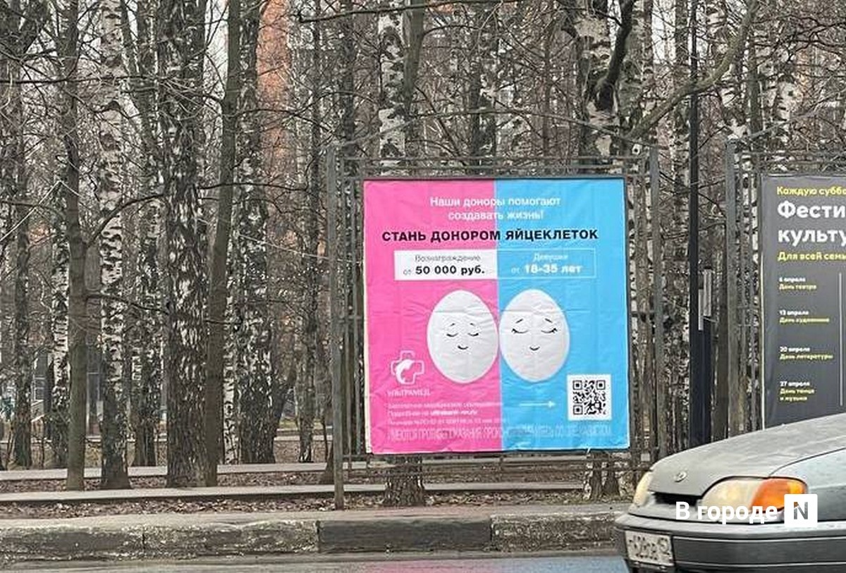 Уличная реклама о донорстве яйцеклеток смутила нижегородцев