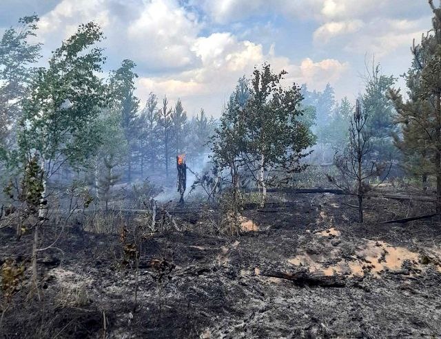 Опубликованы фото пожара в Керженском заповеднике - фото 1