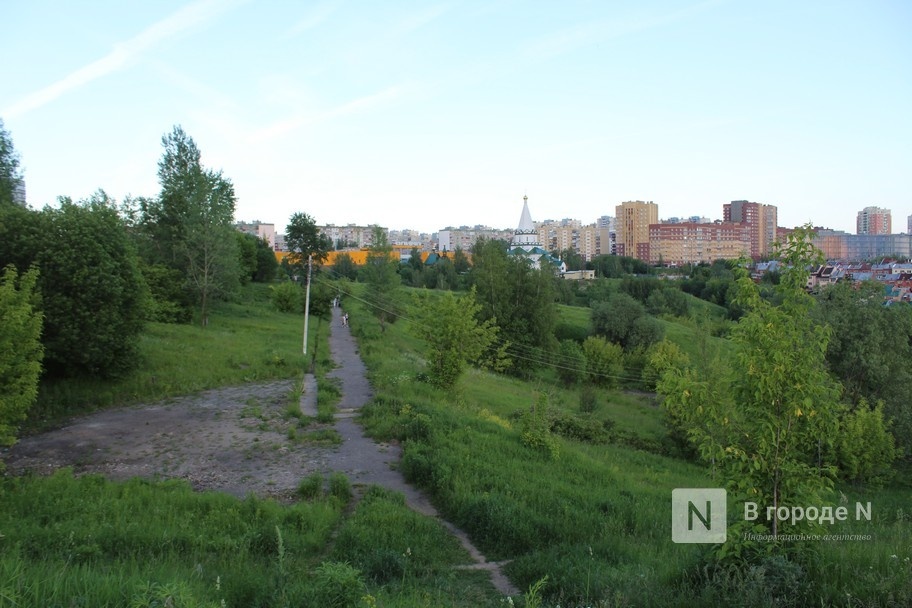 Два оврага благоустроят в Нижнем Новгороде в 2024 году  - фото 1