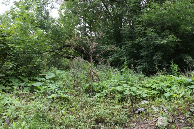 Нижегородцам показали, где будет построен правительственный квартал - фото 33