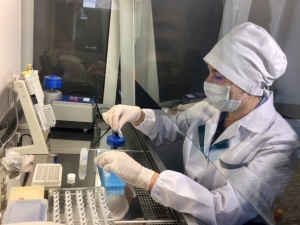 Почти 500 клещей проверили на энцефалит в Нижегородской области