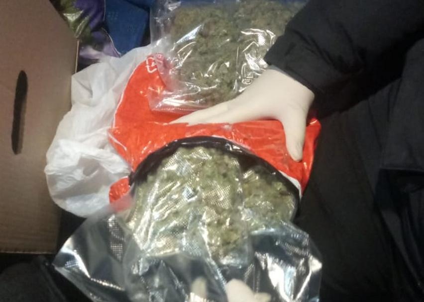 Почти 230 грамм марихуаны изъяли полицейские у 24-летнего борчанина - фото 1
