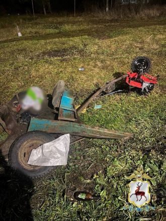 Смертельное ДТП с мотоблоком в Нижегородской области обернулось уголовным делом - фото 2