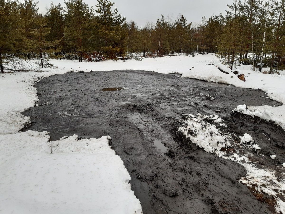 Загрязненную нефтепродуктами территорию в Дзержинске очистит официальный дилер DAF - фото 1