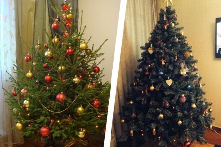 Какую елку лучше выбрать в квартиру: настоящую или искусственную