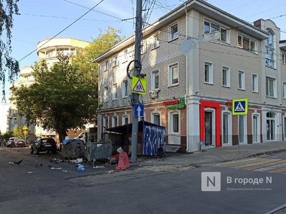 Нижегородцы пожаловались на ужасное состояние мусорной площадки на улице Фрунзе - фото 4