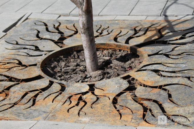 Трещит по швам: как выглядит центр Нижнего Новгорода после аномальной зимы — фоторепортаж - фото 23