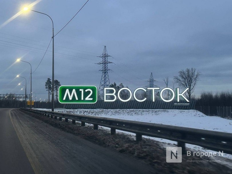 Трассу М-12 в Нижегородской области перекрыли из-за массового ДТП - фото 1