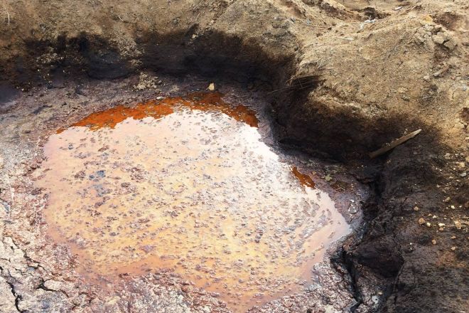 Нефтехимическое предприятие в Кстовском районе загрязняло почву опасными отходами - фото 2