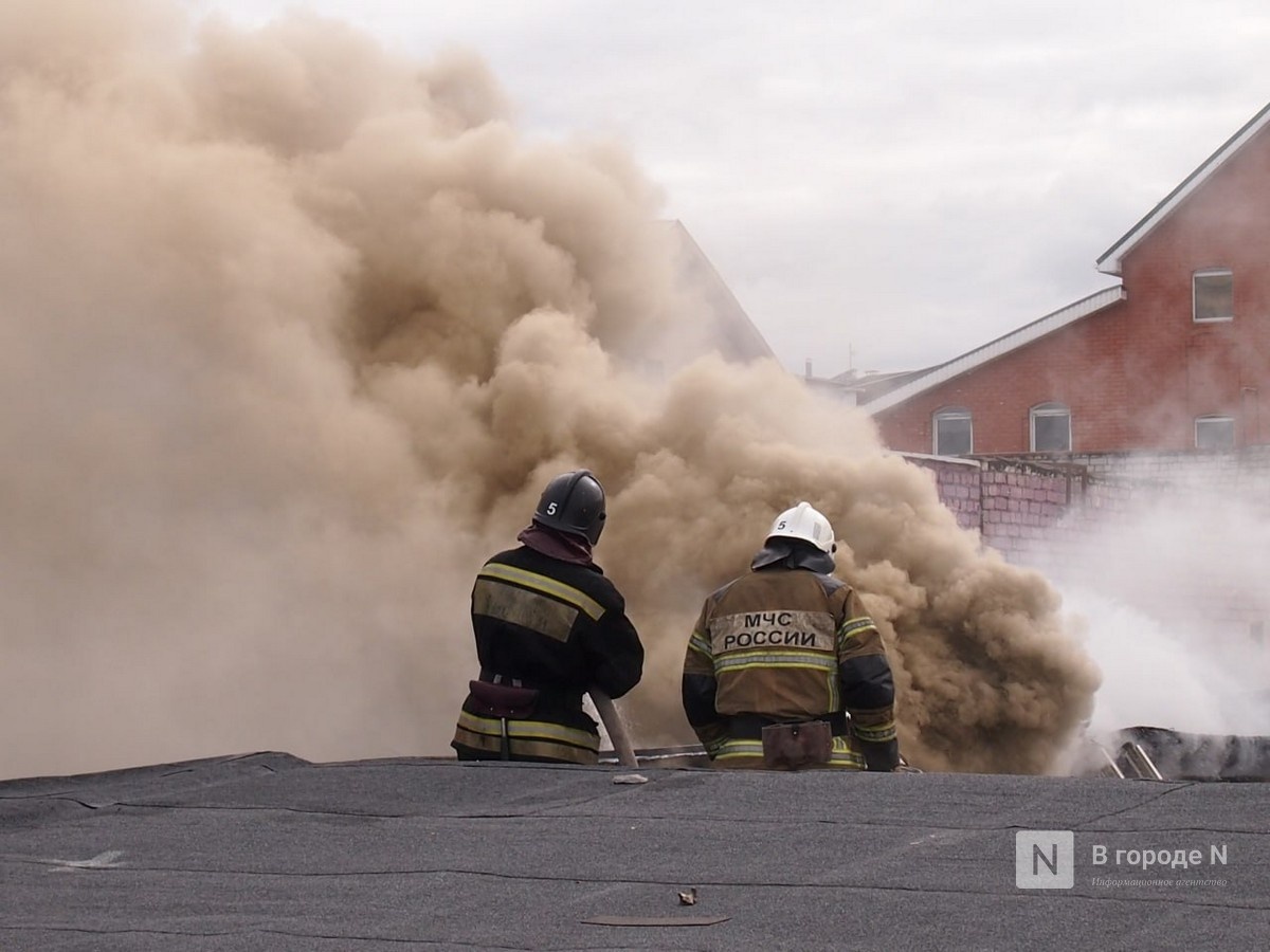 Два человека погибли на пожарах в Нижегородской области за неделю - фото 1