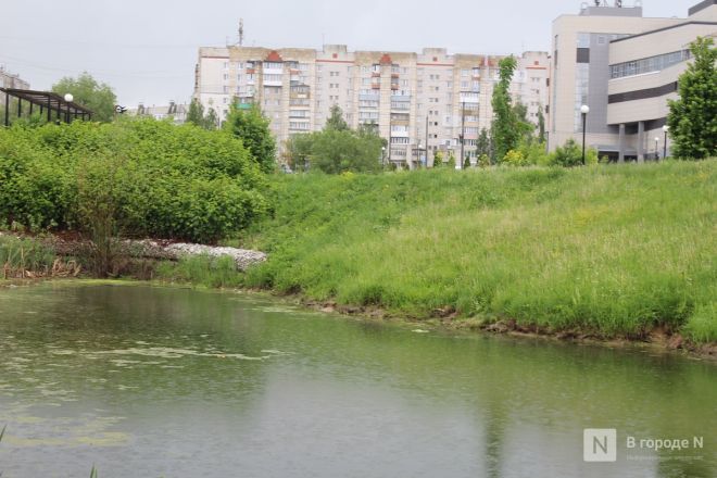 Год под крылом Нижнего Новгорода: как выглядит и чем привлекает Кстово — фоторепортаж - фото 57