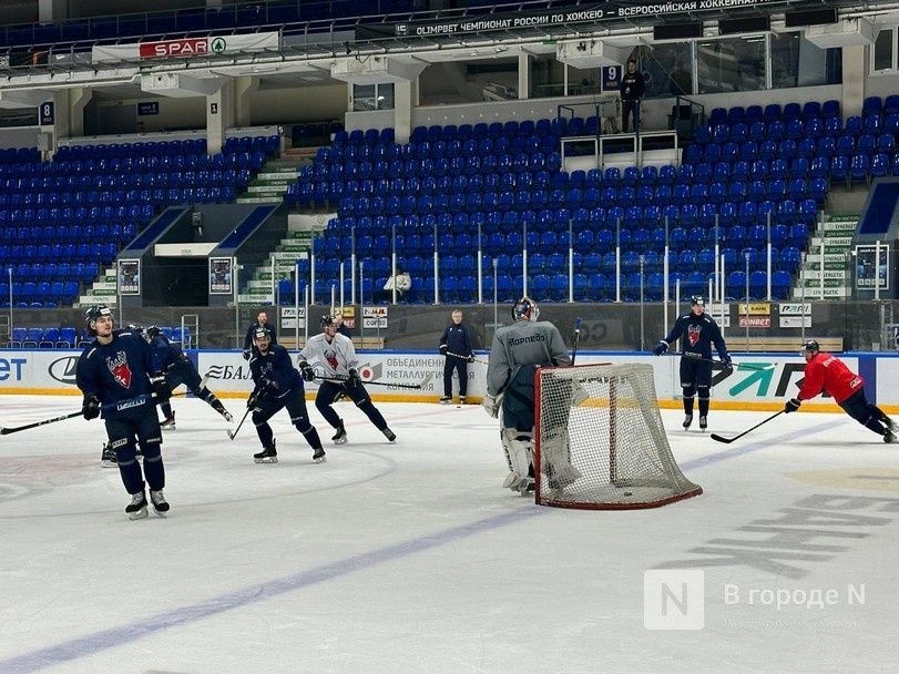 Нижегородское &laquo;Торпедо&raquo; получит 80 млн рублей от КХЛ - фото 1