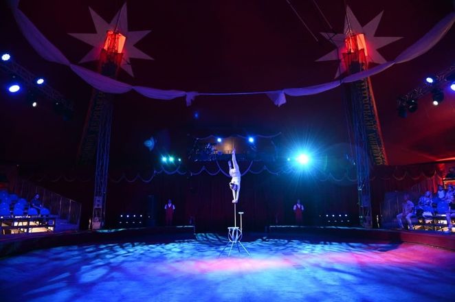 &laquo;Секреты циркового искусства&raquo; раскрыли в Дзержинске - фото 4