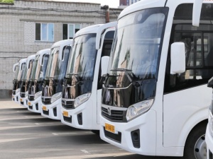 Девять новых автобусов закупил НПАТ