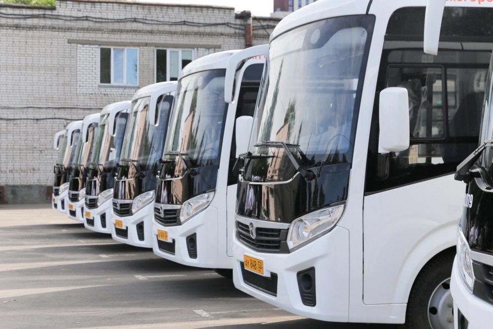 Стало известно, на какие нижегородские маршруты выйдут девять новых автобусов - фото 1