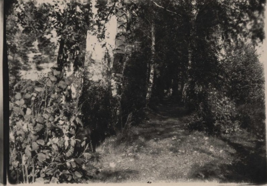 Большое Болдино: история и архивные фото Пушкинского имения - фото 13