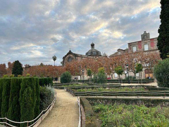 Морские гады, руины и потрясающий климат: вся правда о путешествии Барселона &mdash; Рим - фото 42