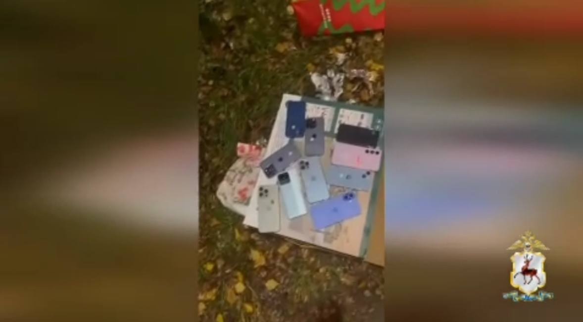 Полиция задержала девушку, ворующую телефоны у посетителей нижегородских ТЦ - фото 1
