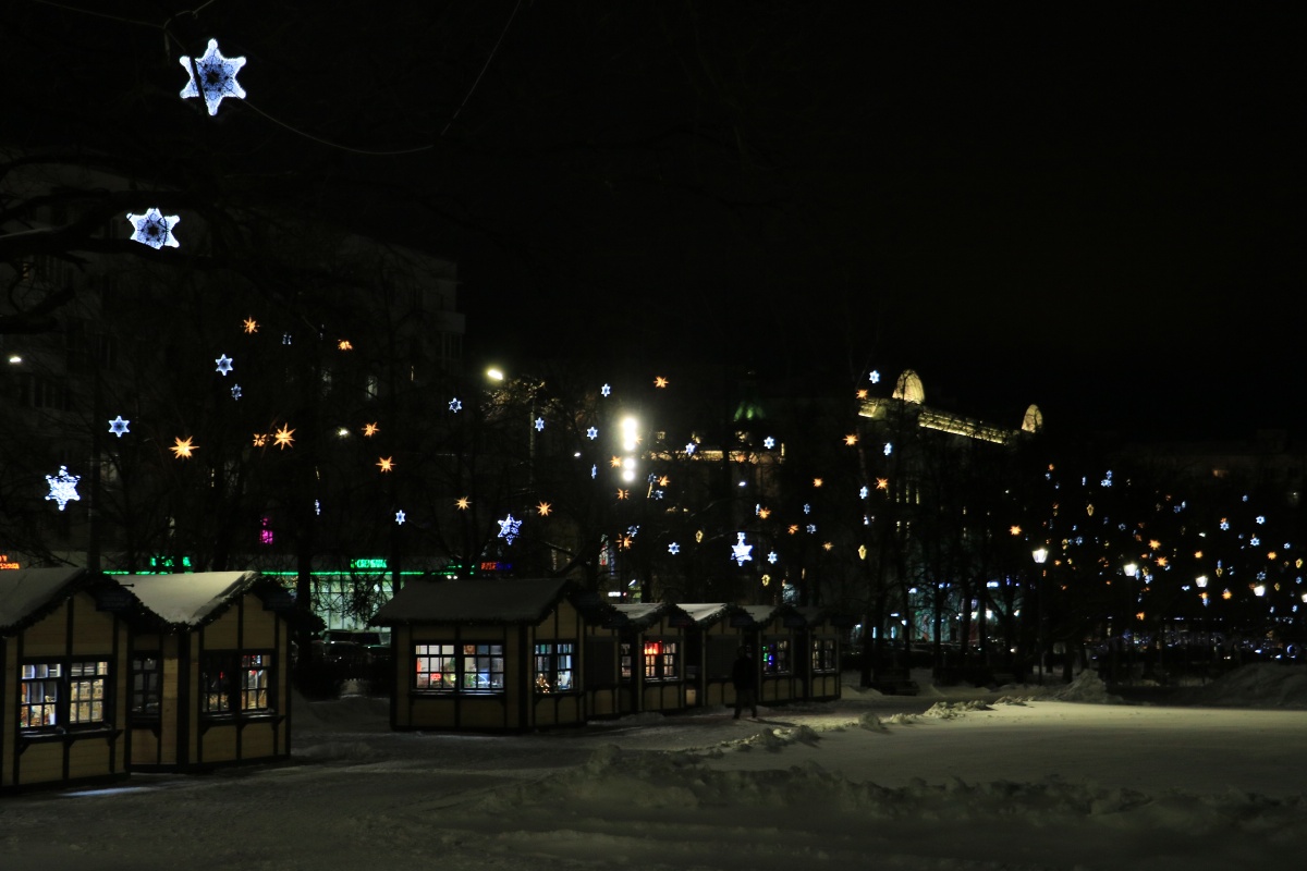 Заснеженные парки и &laquo;пряничные&raquo; домики: что посмотреть в Нижнем Новгороде зимой - фото 32