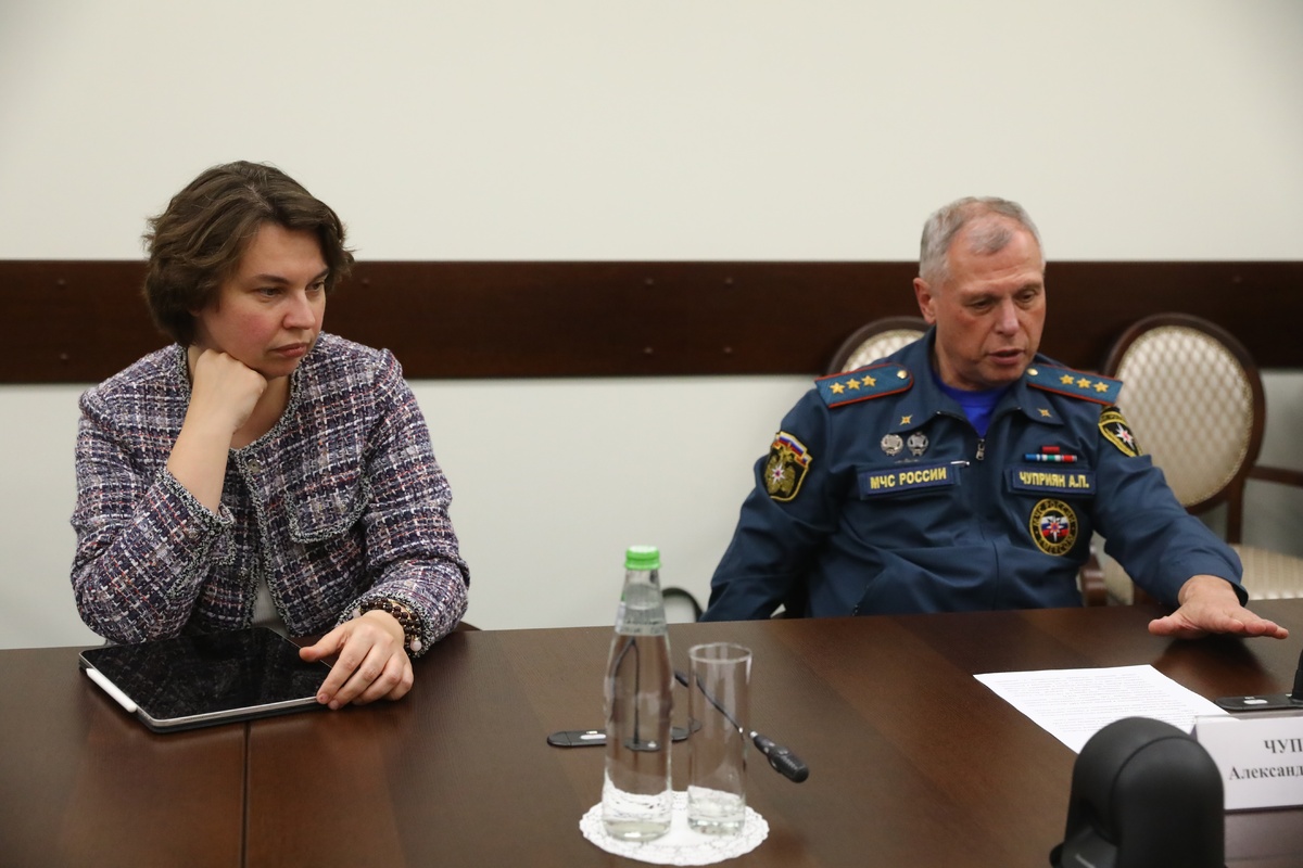 Никитин обсудил с врио главы МЧС РФ Александром Чуприяном тушение лесных пожаров